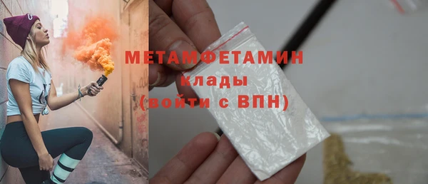 прущие грибы Волосово