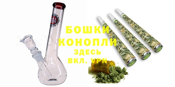 прущие грибы Волосово