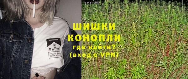 Альфа ПВП Аркадак